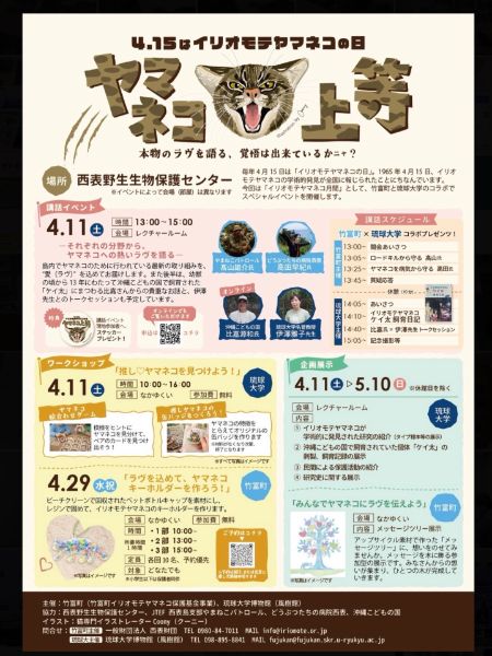 ヤマネコ上等 ワークショップ