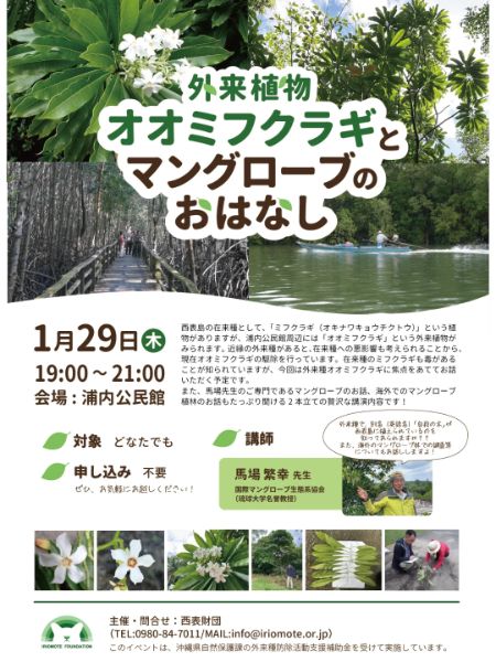 オオミフクラギとマングローブのおはなし
