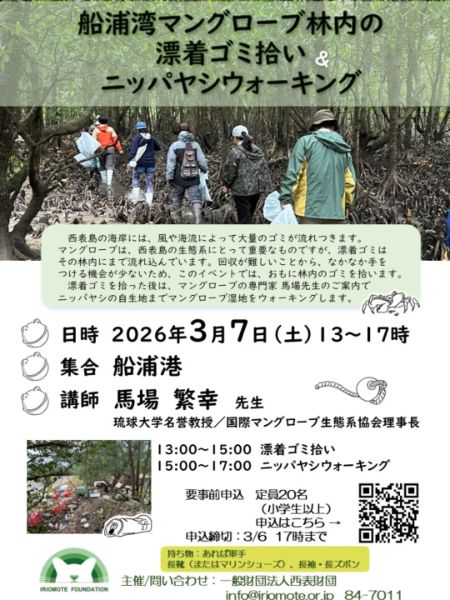 船浦湾マングローブ漂着 ゴミ拾い＆ニッパヤシウォーキング