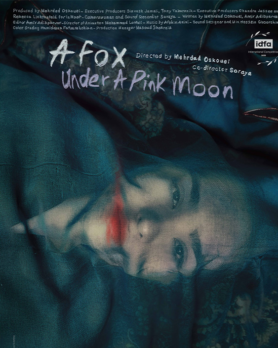 少女は月夜に夢をみる