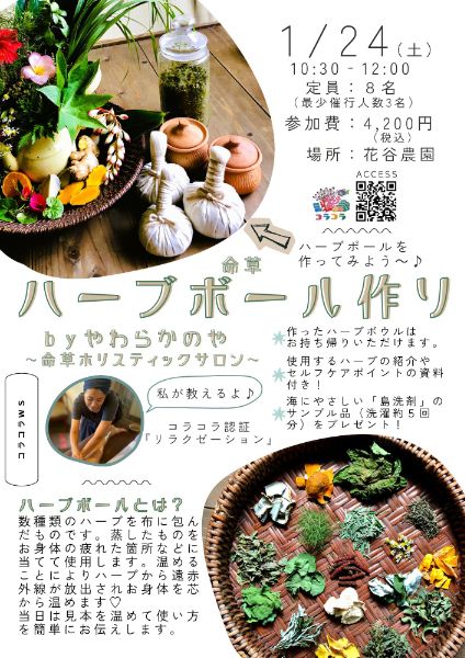 命草 ハーブボール作り