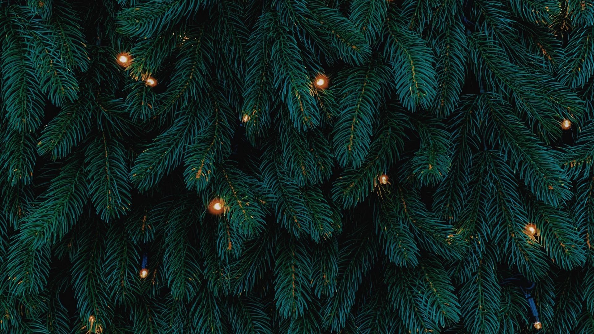 クリスマス